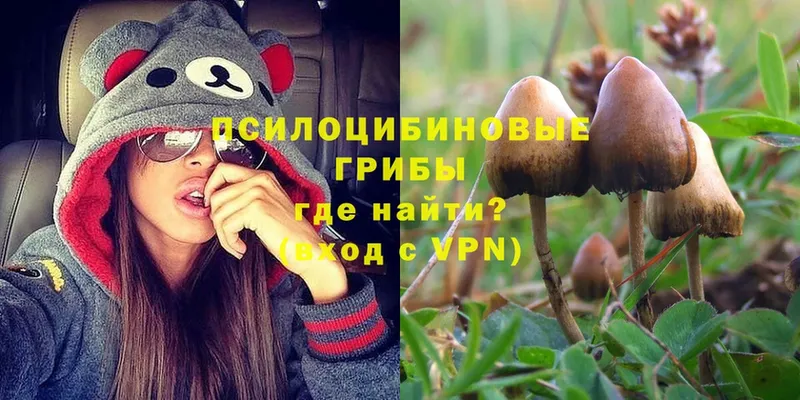 Галлюциногенные грибы Magic Shrooms  Калачинск 